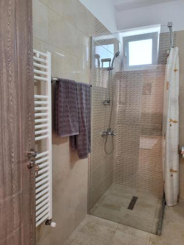 a bathroom with a shower with a glass door at Apartamente Livada in Râmnicu Vâlcea