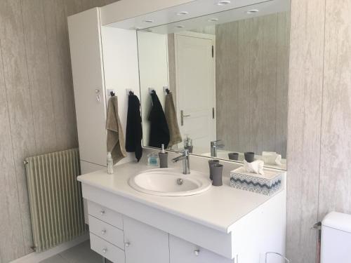 La salle de bains est pourvue d'un lavabo et d'un grand miroir. dans l'établissement B&B Folespoir, à Bayeux