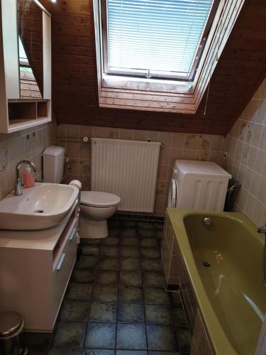 a bathroom with a sink and a toilet and a tub at Großzügige Ferienwohnung in Furth im Wald in Furth im Wald