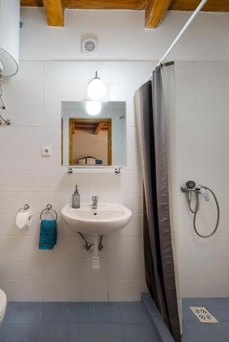 a bathroom with a sink and a mirror and a shower at Pipacs és Tulipán Vendégház in Bodony