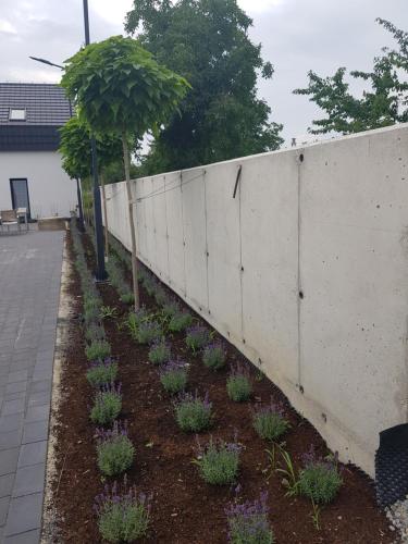 Zahrada ubytování MŁYŃSKA 8 Opole-Górki