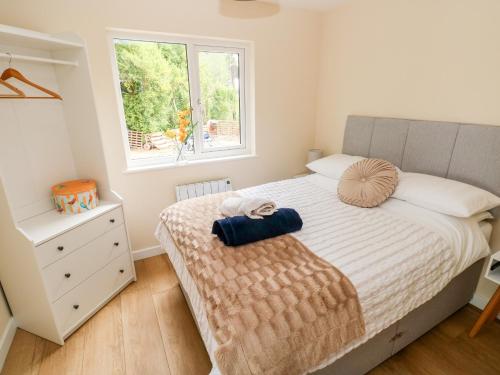 a bedroom with a large bed and a window at Ramsey Lodge Bier Wood Lodges in Tenby
