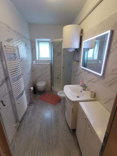 a bathroom with a sink and a toilet and a mirror at Apartments Lucic in Senj