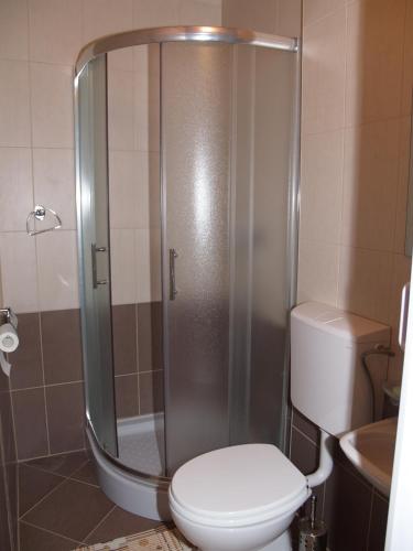 a bathroom with a shower with a toilet and a sink at Jelena in Korenica