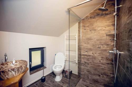 un bagno con doccia, WC e lavandino di Valley House Cabana cu priveliste de vis a Sita Buzăului