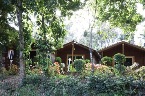 Coorg amodhiniにある庭