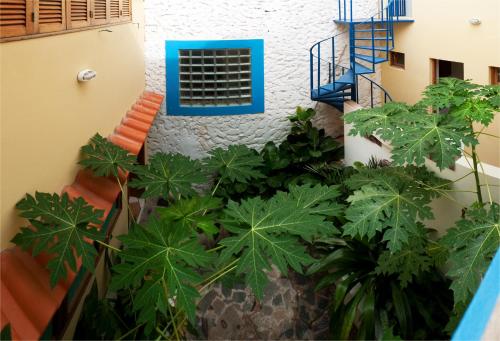 a view of a building with plants in front of it at Solar Windelo in Mindelo