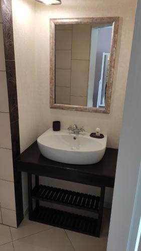 a bathroom with a sink and a mirror at Villa Venterivka in Tatariv
