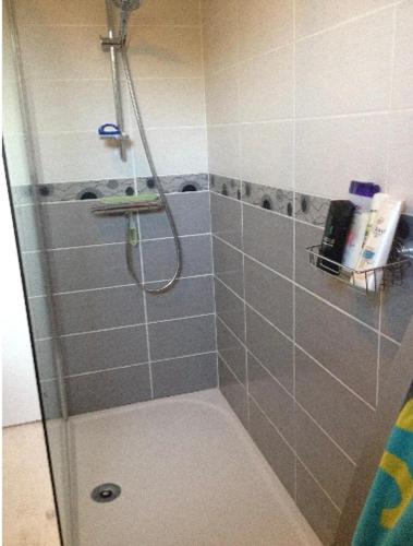 ein Bad mit einer Dusche und einer Glastür in der Unterkunft Chez nous. in Couvin
