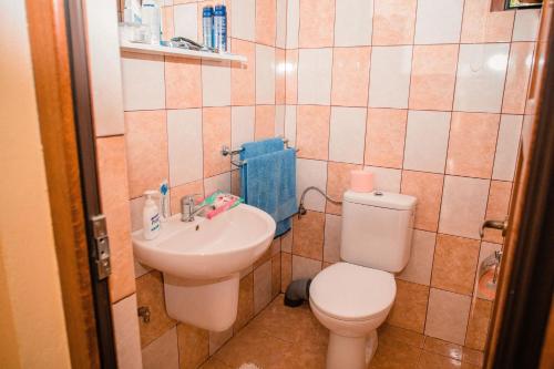 a bathroom with a toilet and a sink at Vila Izvoarele in Izvoarele