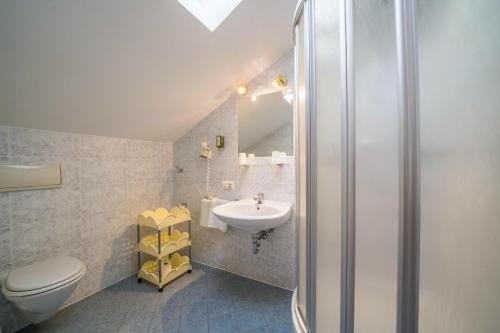a bathroom with a sink and a toilet and a mirror at Ferienwohnung Bozen in Meltina