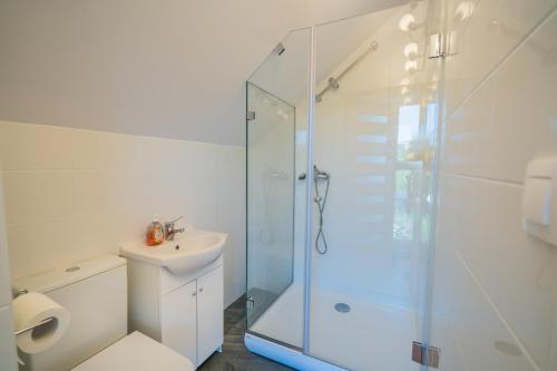 a bathroom with a shower and a toilet and a sink at Szellősréti Vendéglak in Bálványos