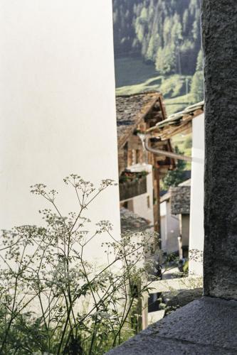 Paisaje cerca de este hotel