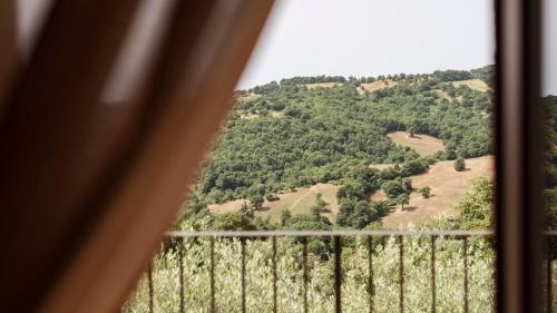 a view through a fence of a forest at Antico Casale Di Scansano Resort in Scansano
