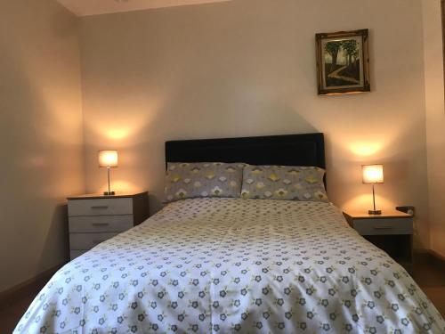 a bedroom with a bed with two lamps on both sides at Pigeon Brae pet friendly accommodation Enniskillen in Enniskillen