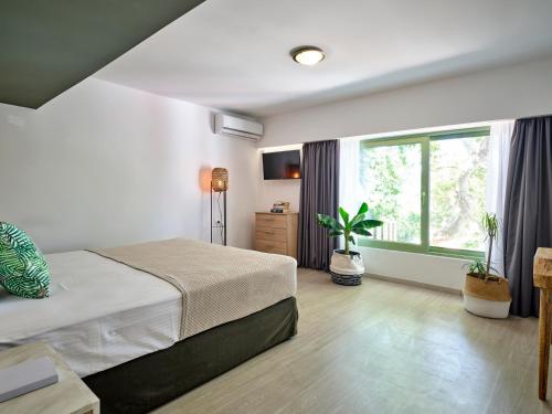 The Tree Suites
