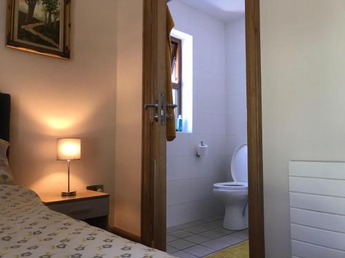 a bathroom with a bed and a toilet and a window at Pigeon Brae pet friendly accommodation Enniskillen in Enniskillen