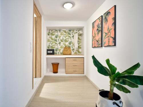 a hallway with a potted plant and a window at The Tree in Skiathos Town