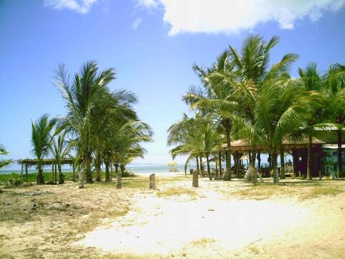 einen Strand mit Palmen und einem Gebäude und dem Meer in der Unterkunft Residencial Gaivotas 40m da praia Nova vicosa in Nova Viçosa