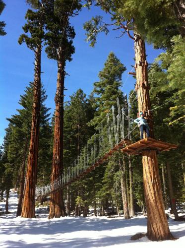 a person is standing on a suspension bridge between trees at Granlibakken Tahoe in Tahoe City