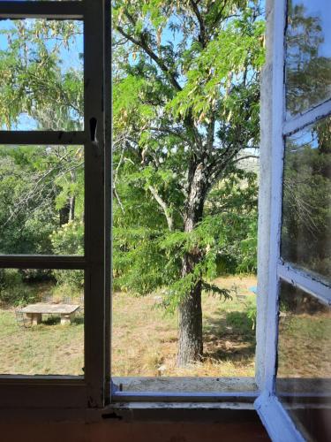 una ventana abierta con vistas a un árbol en Domaine Mas Pigné, en Sauve