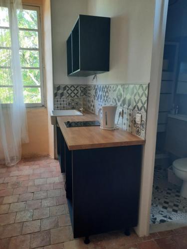 a kitchen with a sink and a counter top at Domaine Mas Pigné in Sauve