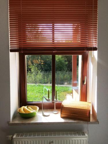 a window with a bowl of bananas on a window sill at Auf der Zschopau-Insel in Zschopau