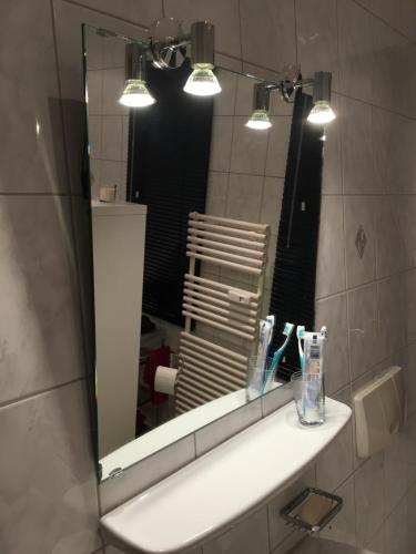 uma casa de banho com um espelho e um lavatório com escovas de dentes em Auf der Zschopau-Insel em Zschopau