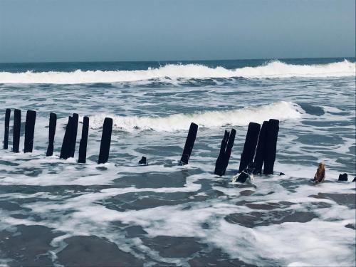 a group of posts sticking out of the ocean at Mica Apartments in Sere Kunda
