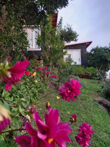 MolinaにあるESTANCIA LOS BOLDOSのピンクの花の庭園
