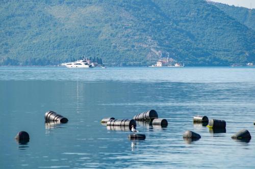 a large body of water with a boat in the background at Apartmani Mrsic in Risan