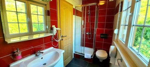 a bathroom with a sink and a shower and a toilet at Hotel Blagaj Mostar in Blagaj
