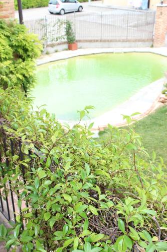 a pool of green water in a yard at Agriturismo Cascina Rosengana in Cocconato