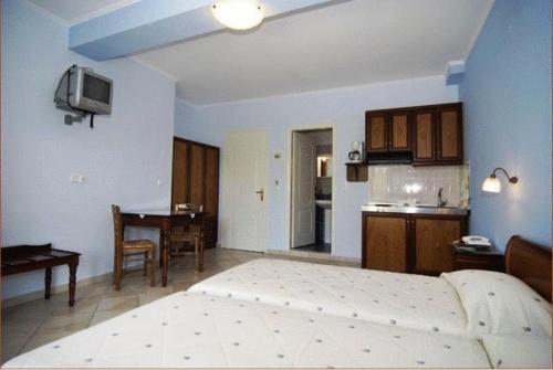 a large room with a bed and a kitchen at Dias Studios in Pythagoreio