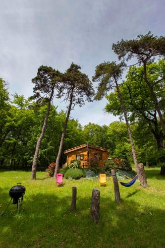Taman di luar Chalets du Bois de Vache