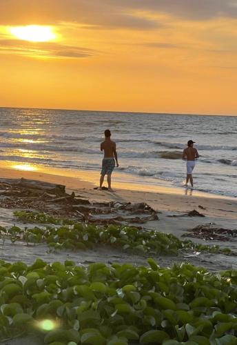 two men walking on the beach at sunset at älanacasadeplaya in San Bernardo del Viento