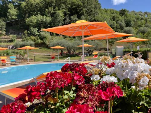 a group of umbrellas and flowers next to a pool at Agri Resort Masusa in Aquara