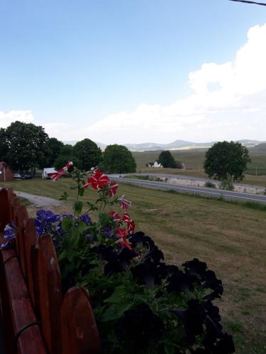 a bench with flowers on the side of a road at Domaćinstvo Krstajić - Rural holiday in Žabljak