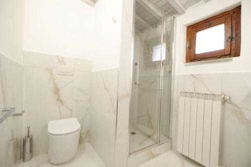 a white bathroom with a toilet and a shower at Il Villino del Daino - Toscana in Loro Ciuffenna