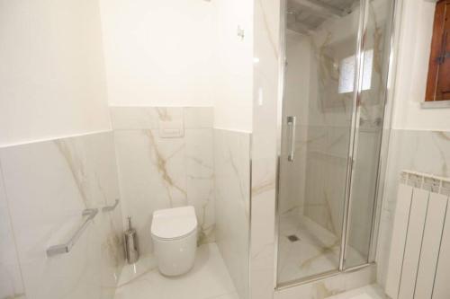 a white bathroom with a shower and a toilet at Il Villino del Daino - Toscana in Loro Ciuffenna