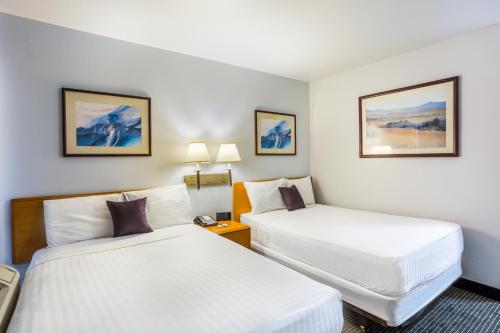 Postel nebo postele na pokoji v ubytování Knights Inn Yuma