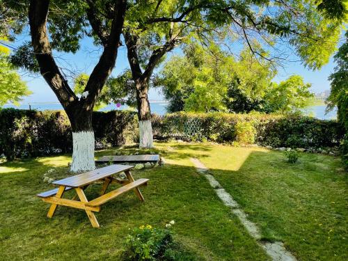 Κήπος έξω από το Vila Minerva