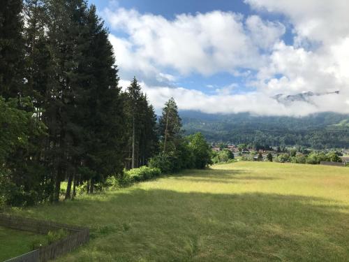a large field of grass with trees and mountains in the background at Sonnhügel Apartments - Ferienwohnungen in Faak am See