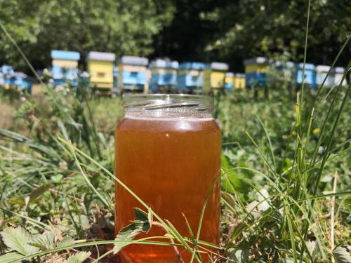 a drink in a jar sitting in the grass at Koliba Pčelica 2 in Bijelo Polje