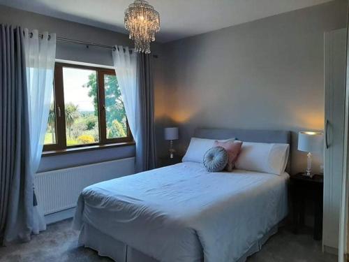 a bedroom with a large bed and a window at Farmstead Lodge B&B in Beaufort