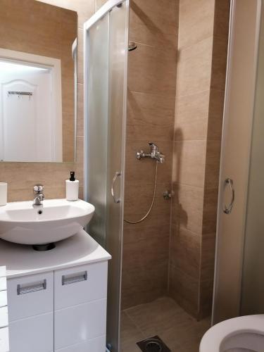 a bathroom with a shower and a sink at Downtown Parliament in Belgrade