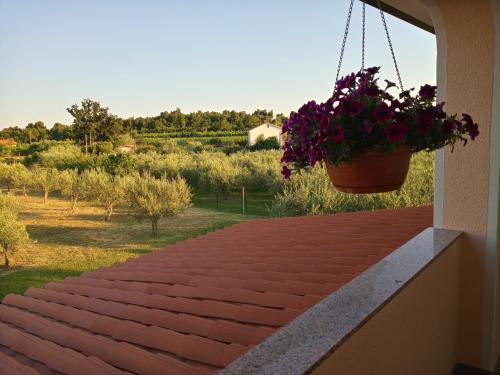Un jardín fuera de Apartma Barižoni