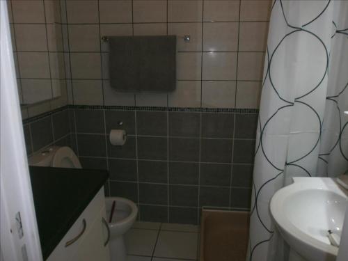 une petite salle de bain avec un lavabo et des toilettes dans l'établissement Superbe studio résidence le Galion 81, à Digne-Les-Bains