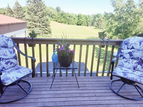two chairs and a table with a potted plant on a deck at North Ironwood Acres - Black River Lodge in Ironwood