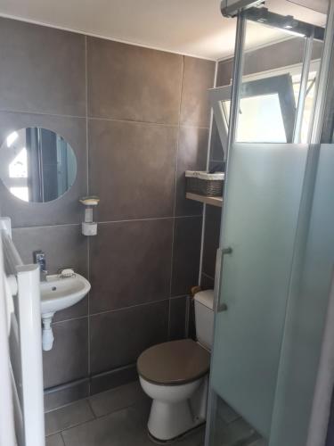 uma casa de banho com um WC, um lavatório e um espelho. em Chambre cosy avec terrasse em Arles